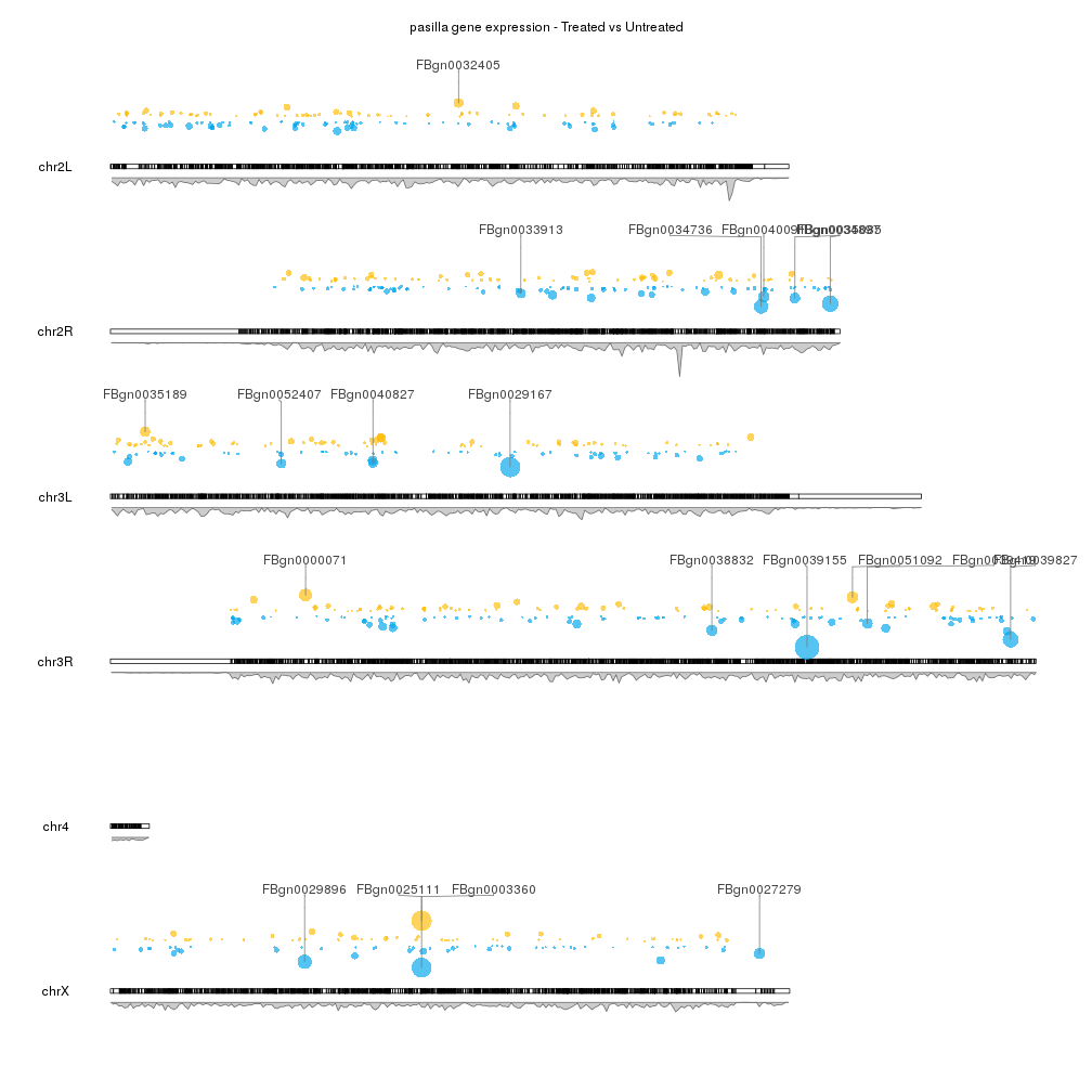 Image of example Gene Expression - Drosophila