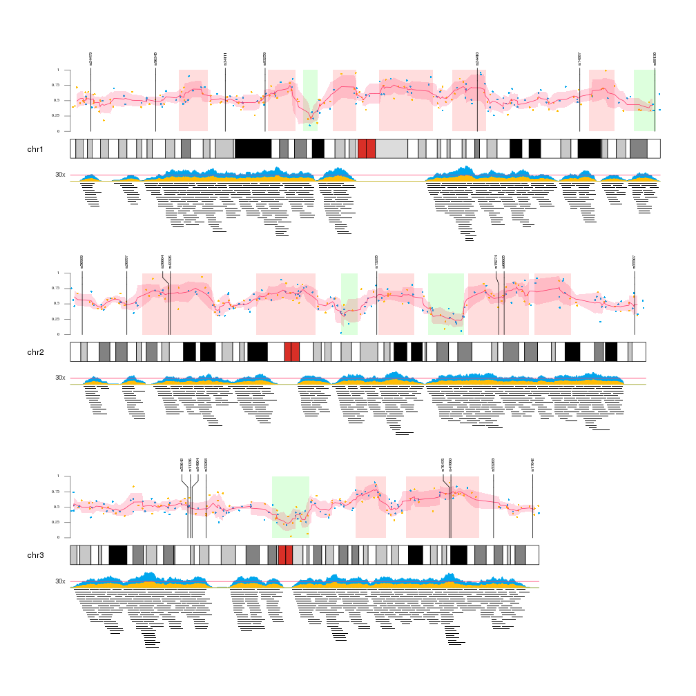 Image of example Multiple Data Types