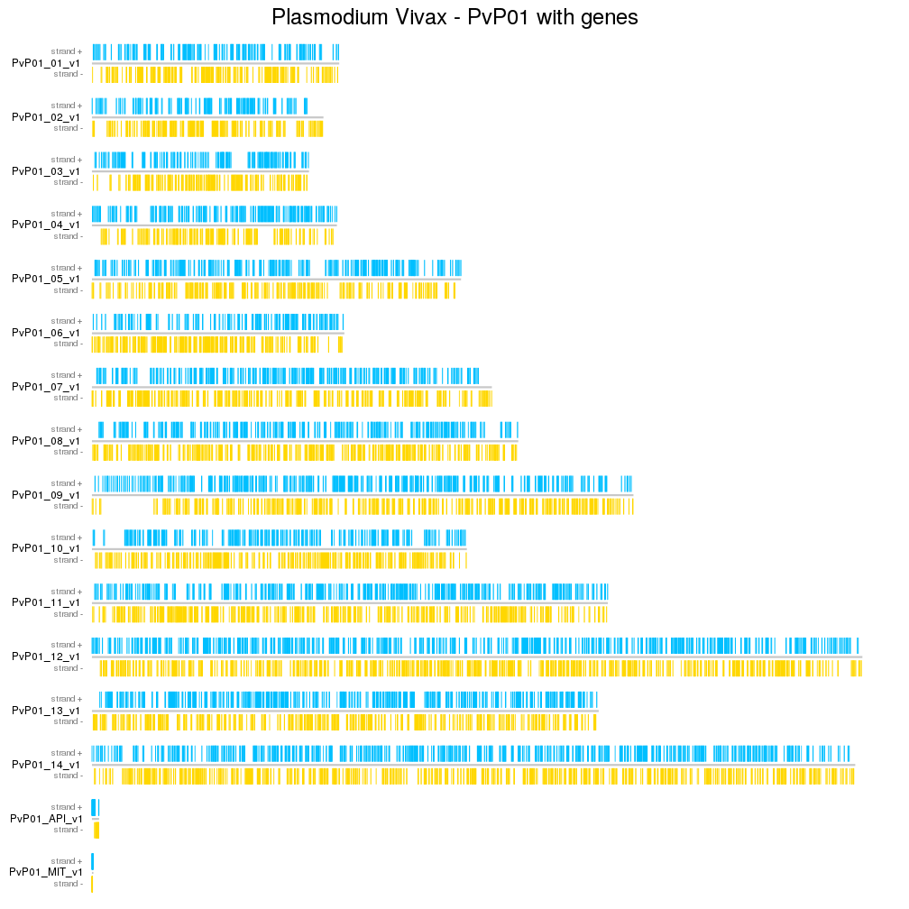 Image of example Plasmodium Vivax Genes from GFF