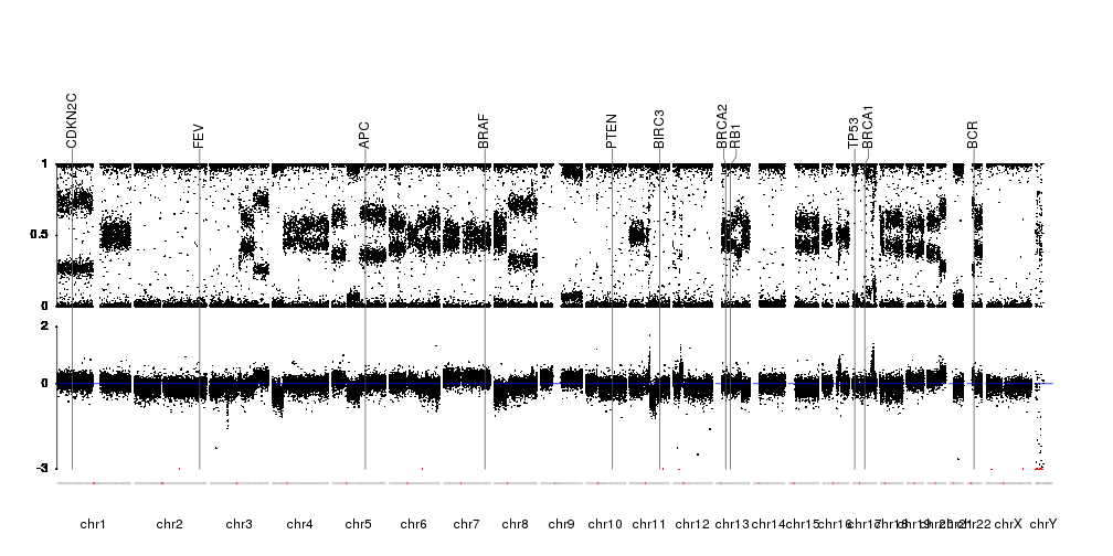 Image of example SNP-array raw data